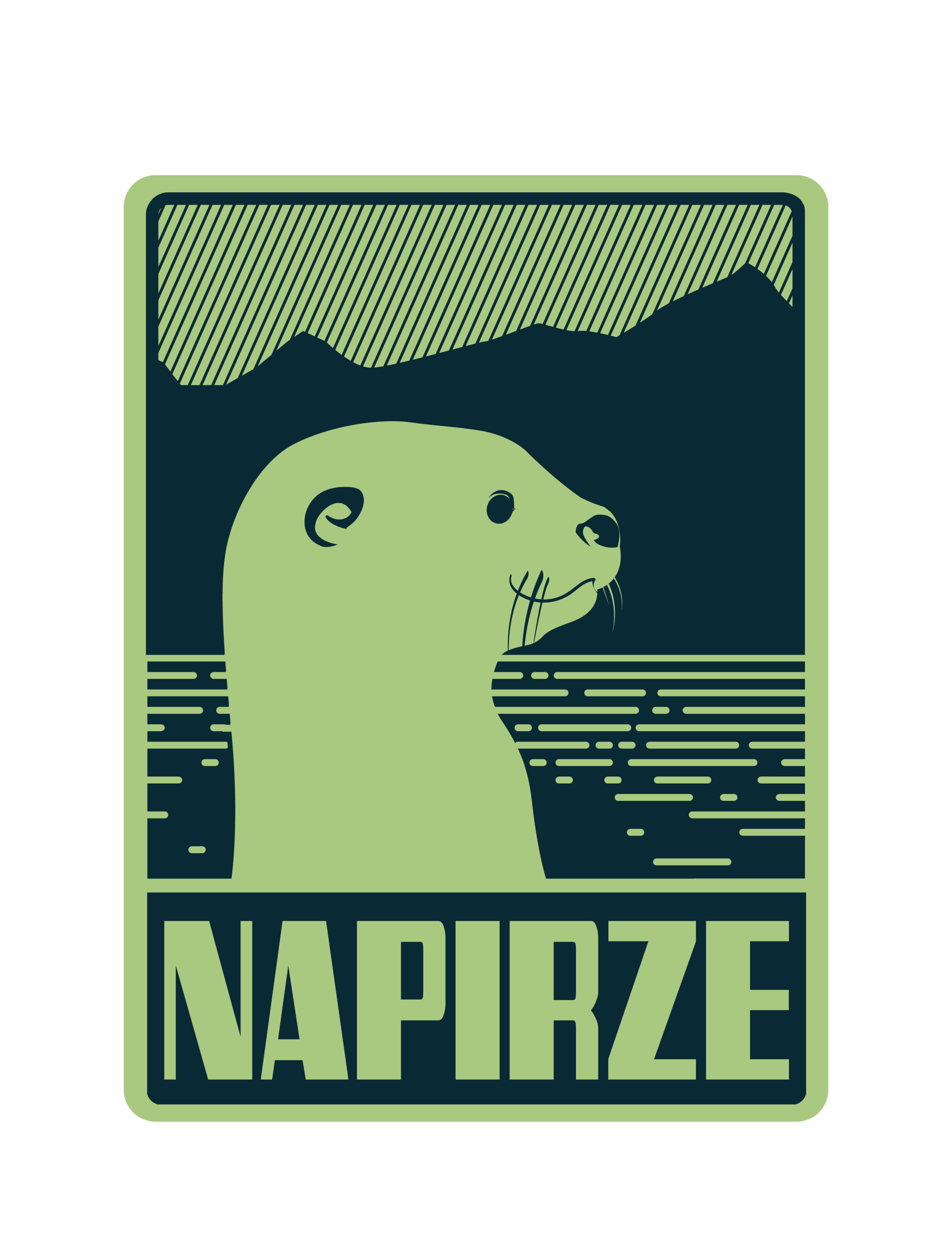 Napirze